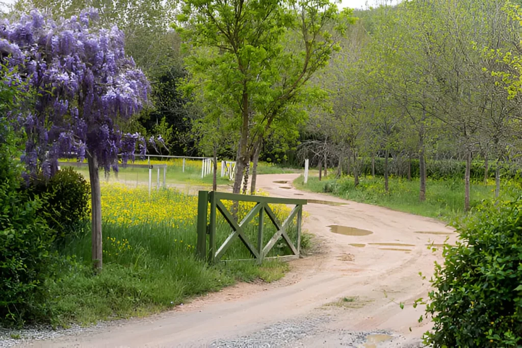 Raise Your Open-air Spaces with Always Green Landscaping