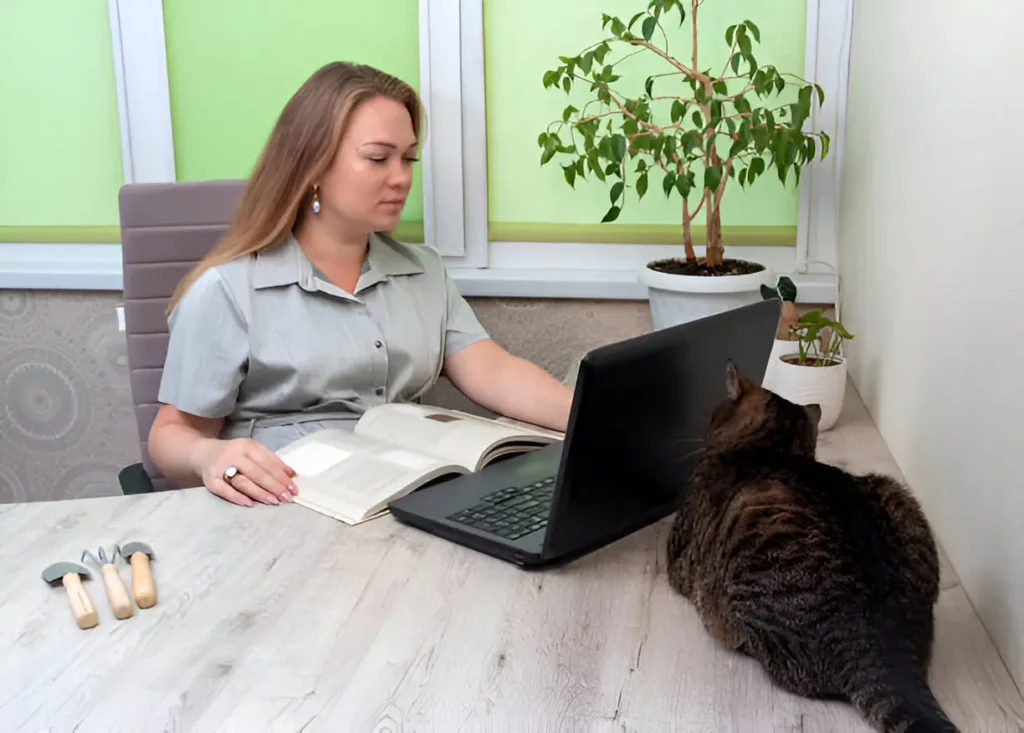 Importance of Google Reviews for Veterinary Practice