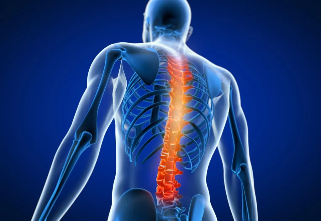 A Holistic View on Maintaining Spine Health in Today’s Busy World